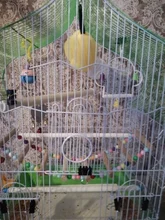 Ring Rings-Decoration Parrot Toys Diy-Accessories Birds Parakeet-Toy Wooden Play Chew