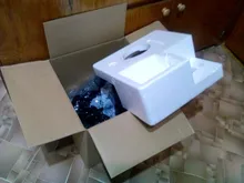 Juice-Extractor Cold-Press Slow-Juicer MIUI Screw 7lv Classic FILTER-FREE Quiet-Motor