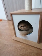 Cubiertas desechables de plástico para zapatos, cubiertas de plástico para limpieza de calzado, impermeable, para exteriores y días lluviosos, 100 Uds.