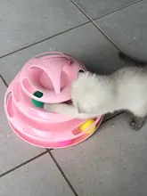 Ball Cat-Toys Play Cat Intelligence Tower-Tracks-Disc Training Amusement-Plate