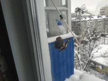 Bird-Feeder Hanging-Bird Garden-Decoration Outdoor-Decor Handmade Vintage Villa Tooarts