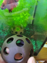 Ornament SHELTER-HOUSE Aquarium-Decoration Fish-Shrimps Fish-Tank Ceramic Canister Simulation-Stone