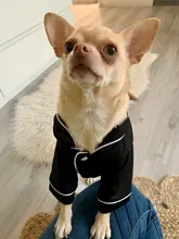 Puppy-Outfit Dogs-Costume Pet-French-Bulldog-Pajamas Chihuahua Fashion Small Medium Perro