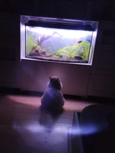 Sand-Washer SIPHON-FILTER Suction Water-Changer-Cleaner Aquarium Vacuum-Gravel Fish-Tank