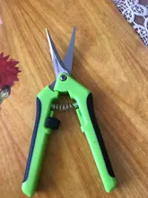 Tijeras de podar de Metal para jardín, Cortador manual de uvas, fruta, recolección de marihuana, en maceta para el hogar