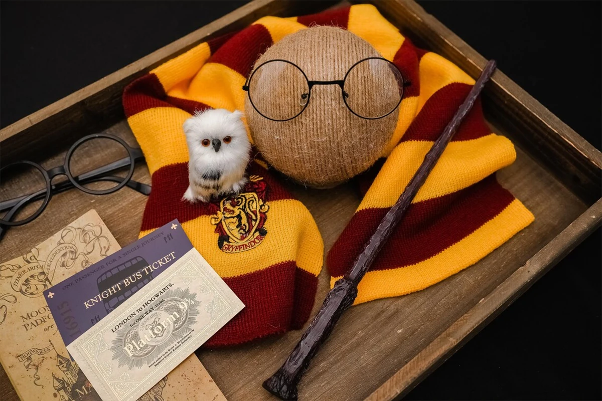 Newborn Photography Props Scarf Round Glasses Owl Map Tickets Magic Hat Wand Set for Baby Photo Studio Prop Accessories