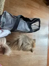 Puppy-Bag Dog-Handbag Pet-Supplies AIRY Travel Portable Shoulder-Bags Pet-Dog Cat Light