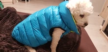 Vest Dog Jacket French Bulldog Waterproof Coat Pet-Outfit Dogs-Pet Winter Large Medium
