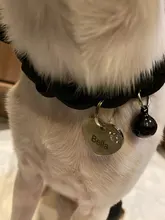 Dog-Collar Engraved Name-Tag Braided Dog Puppy Dogs Small Personalized Free-Bell 