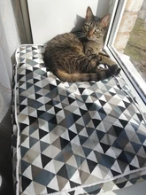 Pet-Bed-Mats House Bench Pet-Kennel Dog-Bed Dogs Large Sofa Puppy Cats Kitten Small 