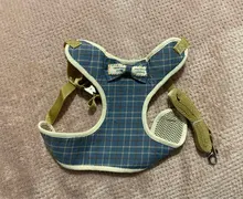 Conjunto de arnés y correa de nailon para perros y gatos, arnés de perrito, Collar de gato de plomo, chaleco para gatos pequeños, suministros para gatos y mascotas