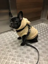 Fleece Pet Dog Clothes Winter Warm Dog Coat Jacket for Dogs Hoodie Soft French Bulldog