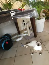 Cat-Toy Lifting-Ball Interactive Electric Funny Flutter