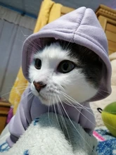 Ropa cálida para mascotas y gatos, ropa con capucha para otoño e invierno, abrigo para gatos y cachorros, 8Y45