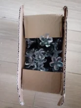 Fairy-Lights Peach-Flower Led-String Christmas-Decor Solar-Lamp Garden Outdoor 5m 22m