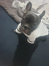 Bathrob Pet-Accessories Drying-Towel Dogs Puppy Soft Cat for Dog-Pajamas Indoor