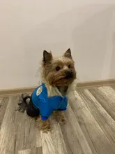 Ropa de invierno para mascotas, chaqueta cálida gruesa para perros pequeños y grandes, abrigo impermeable para cachorros, Chihuahua, Pug, Bulldog francés