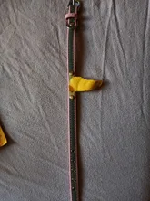 Collar reflectivo para perro, personalizado, de cuero, acolchado, para perros pequeños, medianos, Chihuahua, Yorkie