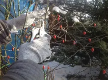 GMG-guantes de seguridad anticortes, gran oferta, color gris y negro, HPPE EN388 ANSI, Nivel 5