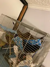 Pet-Hammock Nest Hamster Chinchilla-House Warm-Hanging Squirrel Small Double-Layer Sleeping-Bed