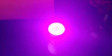 Grow-Lamp Lights-Plants E27-Hydroponic-System Indoor-Lighting Full-Spectrum 220V 80leds