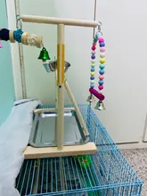 Perch-Stand Ladder Feeder Playground Bird Parrot with Wooden Platform Gym Cups Interactive-Toys