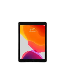 

Apple 10.2-inch iPad Wi-Fi - 7ª generation-tablet-32 GB - 10.2 "IPS (2160x1620) -Gray space