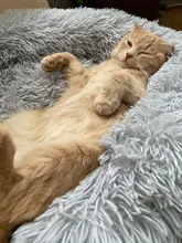 Dog-Bed Large Kennel-Sleeping-Bag Pets Cat Round Washable Plush Soft Little-Medium Long