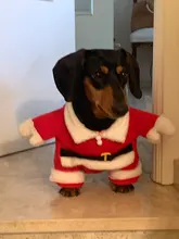 Christmas Pet Dog Cat Costumes Funny Santa Claus Costume For Dogs Cats Winter Warm Dog