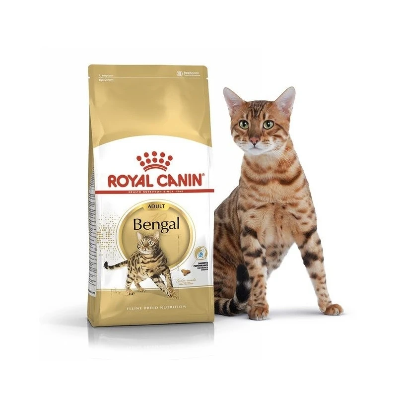 Royal Canin Bengal Adult корм для взрослых кошек бенгальской породы старше 12 месяцев 2
