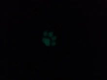 Luminoso brillante flecha COLLAR COLGANTE Caballero collar con forma de lanza resplandor en el oscuro Pike Collar para Mujeres Hombres regalo de Halloween