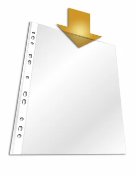 

Pocket with perforation A4 transparent