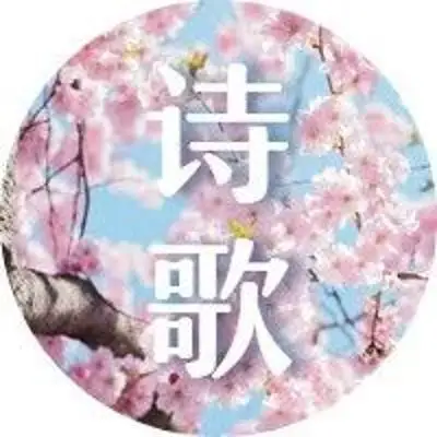 最美诗歌丨唯独基督 / In Christ Alone