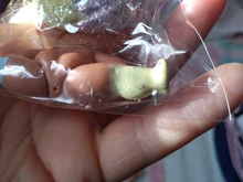 6 muñecas + 6 prendas + 6 zapatos + 6 botellas + 6 accesorios conjuntos aleatorios L.O.L. ¡Sorpresa! Muñeca LOL de 8cm, juguete para regalo