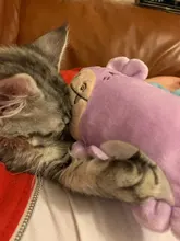 Dog-Toys Plush-Squeaky Pet-Supplies Puppy-Training-Toy Bite-Resistant Vegetable Dog Chew