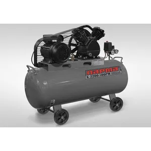 

Compressor belt Parma k-2200/100 RM