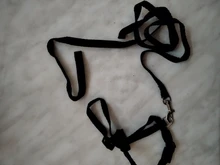 Harness Leash Traction Cats-Products Cat-Collar Pet Nylon Kitten Adjustable Gato