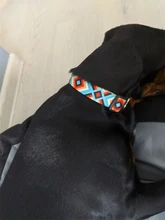 Collar de identificación de perro personalizado, nailon, placa de etiqueta grabado gratis para perros pequeños, medianos y grandes, Pitbull