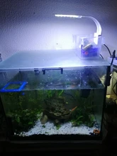 Luz led súper ligera de acuario para plantas, iluminación para cultivo de plantas acuáticas, lámpara de clip, resistente al agua, para tanque de peces, 5w, 10w y 15w