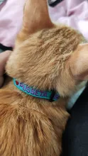 Cat-Collar Breakaway Custom Personalized Bell Charms Pet-Names with Heart DIY And Printed