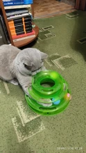 3 Levels Pet Cat Toy Funny Tower Tracks Disc Cat Tracks Toys Training Intelligence Amusement