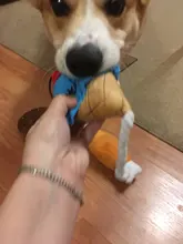 Donut Pet Toy Dog Chew Throw Toys Sightly Lovely Ice Cream Puppy Cat Squeaker Quack Sound