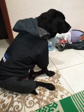 HOOPET Large Coat Down-Jacket Winter New Warm Autumn for Dogs Dog-Prints Overalls Leisure-Style