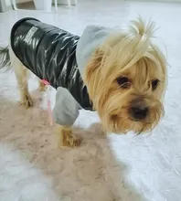 Coat Pet-Dog-Jacket Winter Puppy Hood-Size Warm with 8-18 5-Colors Thickening