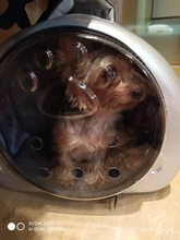 Bolsa de transporte portátil para perros y gatos, cápsula espacial transpirable, bolsa de viaje para astronauta, mochila transparente para mascotas pequeñas para exteriores
