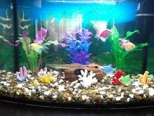 Fish-Tank-Decoration Aquarium Water-Grass Artificial Green New Plants Purple 37CM Viewing