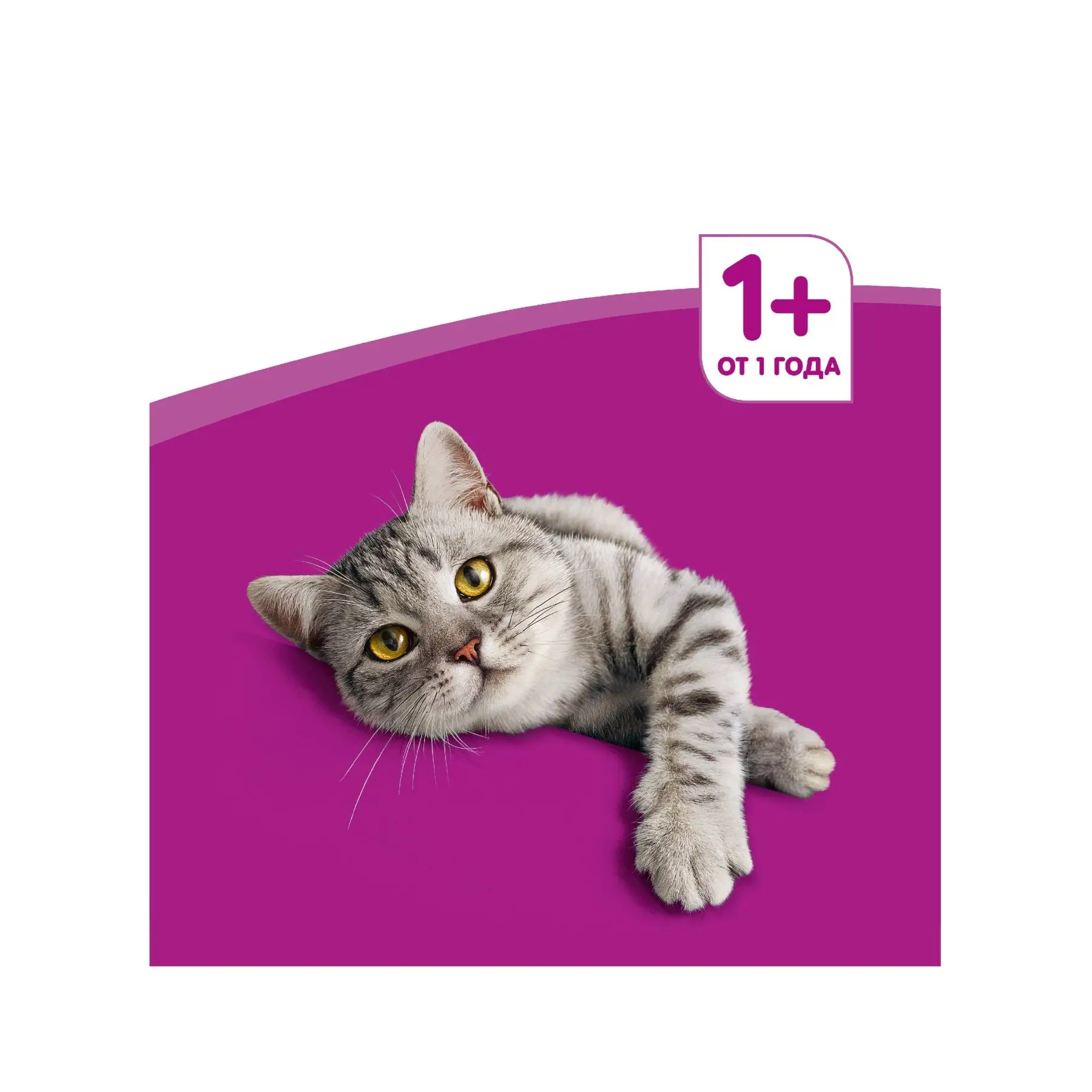 Влажный корм для кошек Whiskas рагу с телятиной, 28 шт по 85г