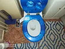 Water Bidet Toilet-Seat Non-Electric Warm Shattaf Dual-Nozzle Self-Cleaning Feminine