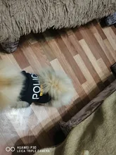 Traje de policía para Cosplay de perros y gatos, chaleco elástico negro, camiseta de cachorro, accesorios, ropa, disfraces