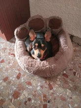 Baskets-Mat Nest Super-Soft Kennel Pet-Bed Cat Plush Washable Soft-Fleece Waterproof